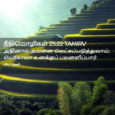 Picture 02 - நீதிமொழிகள் 25:22 TAMIRV - அதினால் அவனை - Bible Verse Picture