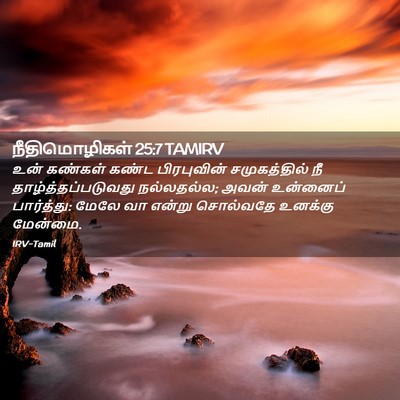 Picture 02 - நீதிமொழிகள் 25:7 TAMIRV - உன் கண்கள் கண்ட - Bible Verse Picture