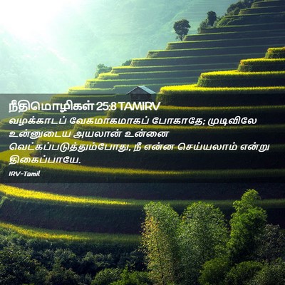 Picture 02 - நீதிமொழிகள் 25:8 TAMIRV - வழக்காடப் - Bible Verse Picture