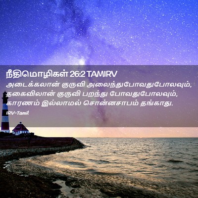 Picture 02 - நீதிமொழிகள் 26:2 TAMIRV - அடைக்கலான் குருவி - Bible Verse Picture