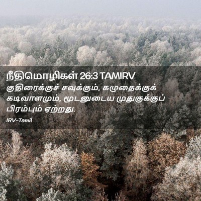 Picture 02 - நீதிமொழிகள் 26:3 TAMIRV - குதிரைக்குச் - Bible Verse Picture