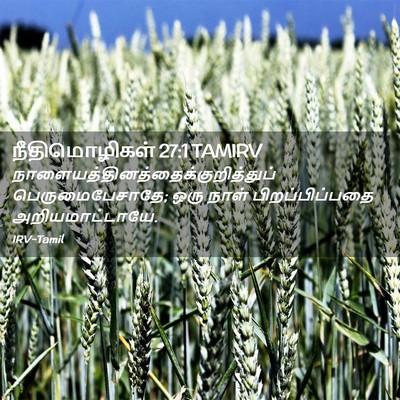 Picture 02 - நீதிமொழிகள் 27:1 TAMIRV -  - Bible Verse Picture