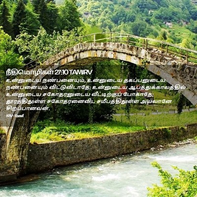 Picture 02 - நீதிமொழிகள் 27:10 TAMIRV - உன்னுடைய - Bible Verse Picture