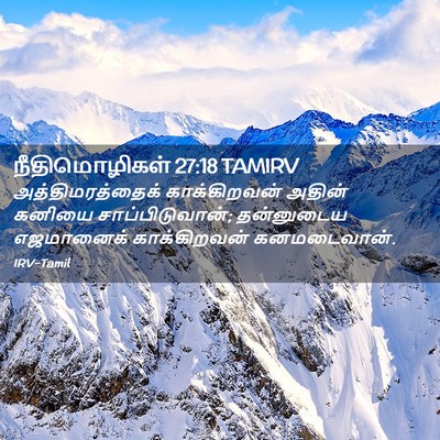Picture 02 - நீதிமொழிகள் 27:18 TAMIRV - அத்திமரத்தைக் - Bible Verse Picture
