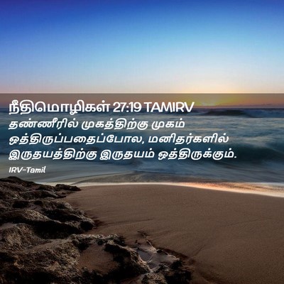 Picture 02 - நீதிமொழிகள் 27:19 TAMIRV - தண்ணீரில் - Bible Verse Picture