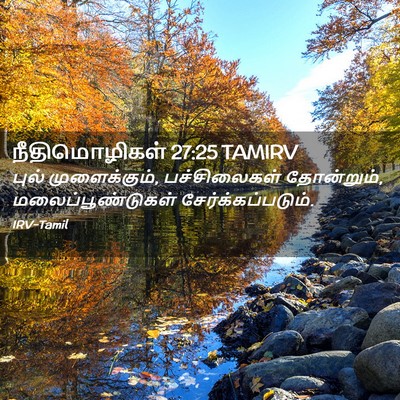 Picture 02 - நீதிமொழிகள் 27:25 TAMIRV - புல் முளைக்கும், - Bible Verse Picture