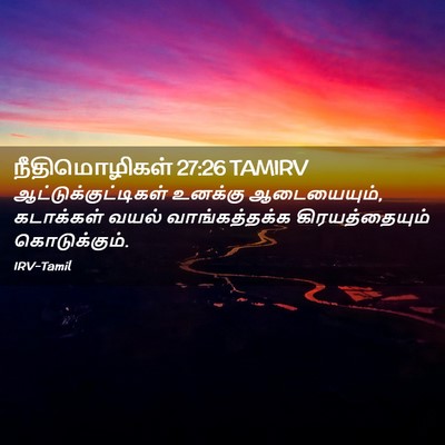Picture 02 - நீதிமொழிகள் 27:26 TAMIRV - ஆட்டுக்குட்டிகள் - Bible Verse Picture