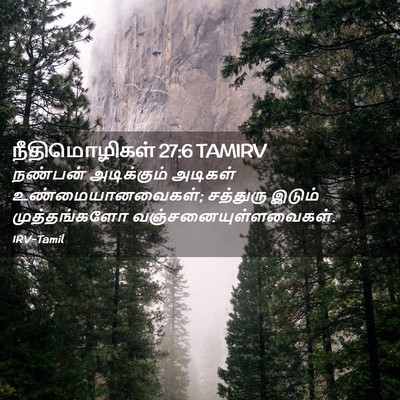 Picture 02 - நீதிமொழிகள் 27:6 TAMIRV - நண்பன் அடிக்கும் - Bible Verse Picture