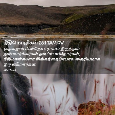 Picture 02 - நீதிமொழிகள் 28:1 TAMIRV - ஒருவனும் - Bible Verse Picture