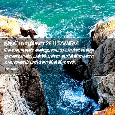 Picture 02 - நீதிமொழிகள் 28:11 TAMIRV - செல்வந்தன் - Bible Verse Picture