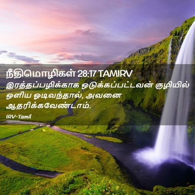 Picture 02 - நீதிமொழிகள் 28:17 TAMIRV - இரத்தப்பழிக்காக - Bible Verse Picture