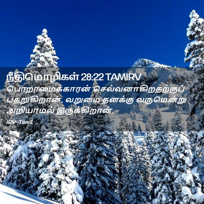 Picture 02 - நீதிமொழிகள் 28:22 TAMIRV - பொறாமைக்காரன் - Bible Verse Picture