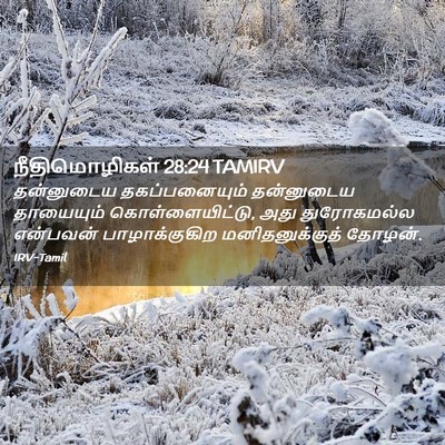 Picture 02 - நீதிமொழிகள் 28:24 TAMIRV - தன்னுடைய - Bible Verse Picture