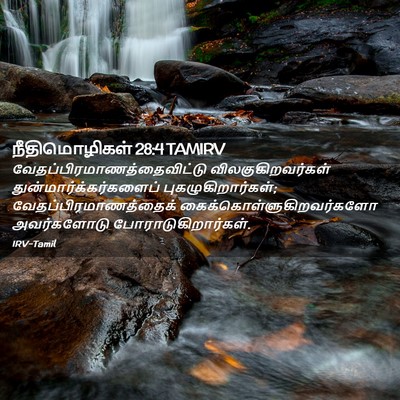 Picture 02 - நீதிமொழிகள் 28:4 TAMIRV -  - Bible Verse Picture