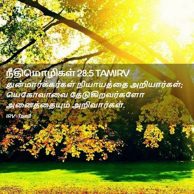 Picture 02 - நீதிமொழிகள் 28:5 TAMIRV - துன்மார்க்கர்கள் - Bible Verse Picture