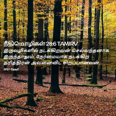 Picture 02 - நீதிமொழிகள் 28:6 TAMIRV - இருவழிகளில் - Bible Verse Picture