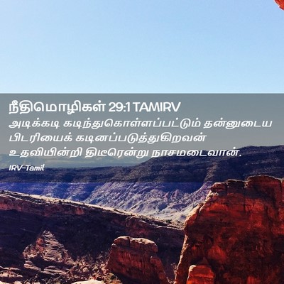 Picture 02 - நீதிமொழிகள் 29:1 TAMIRV - அடிக்கடி - Bible Verse Picture