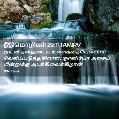 Picture 02 - நீதிமொழிகள் 29:11 TAMIRV - மூடன் தன்னுடைய - Bible Verse Picture