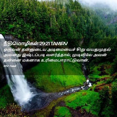 Picture 02 - நீதிமொழிகள் 29:21 TAMIRV - ஒருவன் தன்னுடைய - Bible Verse Picture
