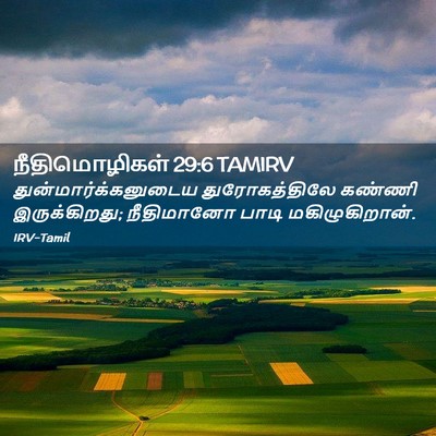 Picture 02 - நீதிமொழிகள் 29:6 TAMIRV - துன்மார்க்கனுடைய - Bible Verse Picture