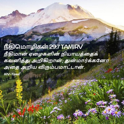Picture 02 - நீதிமொழிகள் 29:7 TAMIRV - நீதிமான் ஏழைகளின் - Bible Verse Picture
