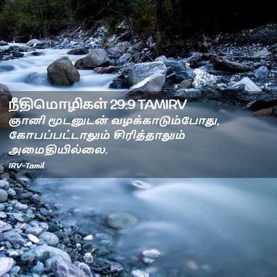 Picture 02 - நீதிமொழிகள் 29:9 TAMIRV - ஞானி மூடனுடன் - Bible Verse Picture