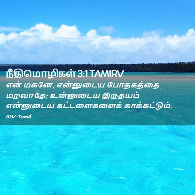 Picture 02 - நீதிமொழிகள் 3:1 TAMIRV - என் மகனே, என்னுடைய - Bible Verse Picture