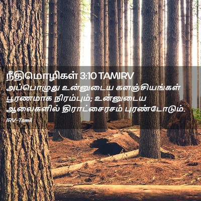 Picture 02 - நீதிமொழிகள் 3:10 TAMIRV - அப்பொழுது - Bible Verse Picture