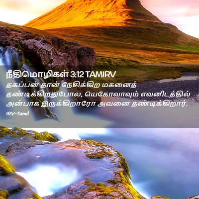 Picture 02 - நீதிமொழிகள் 3:12 TAMIRV - தகப்பன் தான் - Bible Verse Picture