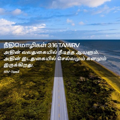 Picture 02 - நீதிமொழிகள் 3:16 TAMIRV - அதின் வலதுகையில் - Bible Verse Picture