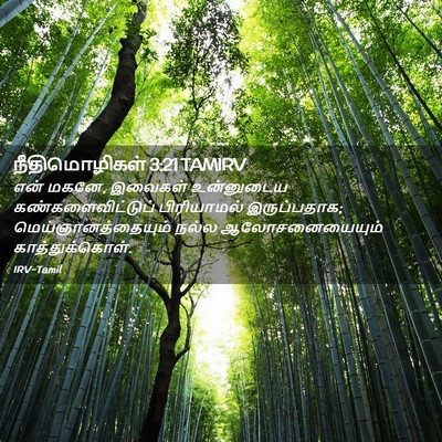 Picture 02 - நீதிமொழிகள் 3:21 TAMIRV - என் மகனே, இவைகள் - Bible Verse Picture