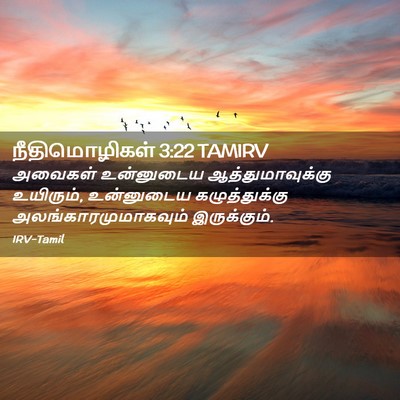 Picture 02 - நீதிமொழிகள் 3:22 TAMIRV - அவைகள் உன்னுடைய - Bible Verse Picture