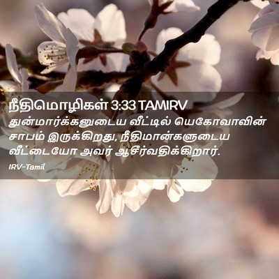 Picture 02 - நீதிமொழிகள் 3:33 TAMIRV - துன்மார்க்கனுடைய - Bible Verse Picture
