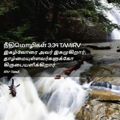 Picture 02 - நீதிமொழிகள் 3:34 TAMIRV - இகழ்வோரை அவர் - Bible Verse Picture