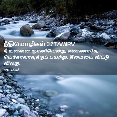 Picture 02 - நீதிமொழிகள் 3:7 TAMIRV - நீ உன்னை - Bible Verse Picture