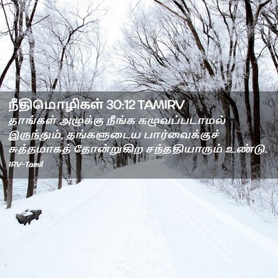 Picture 02 - நீதிமொழிகள் 30:12 TAMIRV - தாங்கள் அழுக்கு - Bible Verse Picture