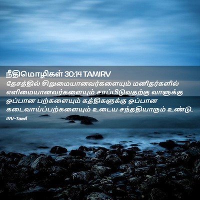 Picture 02 - நீதிமொழிகள் 30:14 TAMIRV - தேசத்தில் - Bible Verse Picture