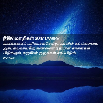 Picture 02 - நீதிமொழிகள் 30:17 TAMIRV - தகப்பனைப் - Bible Verse Picture