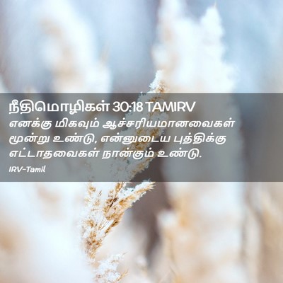 Picture 02 - நீதிமொழிகள் 30:18 TAMIRV - எனக்கு மிகவும் - Bible Verse Picture