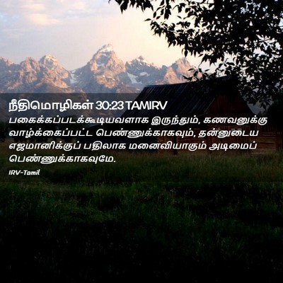 Picture 02 - நீதிமொழிகள் 30:23 TAMIRV -  - Bible Verse Picture