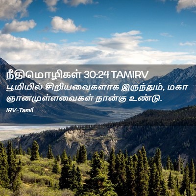 Picture 02 - நீதிமொழிகள் 30:24 TAMIRV - பூமியில் - Bible Verse Picture