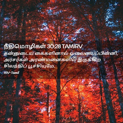 Picture 02 - நீதிமொழிகள் 30:28 TAMIRV - தன்னுடைய - Bible Verse Picture