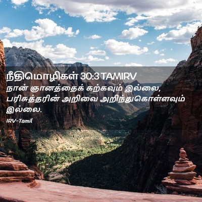 Picture 02 - நீதிமொழிகள் 30:3 TAMIRV - நான் ஞானத்தைக் - Bible Verse Picture