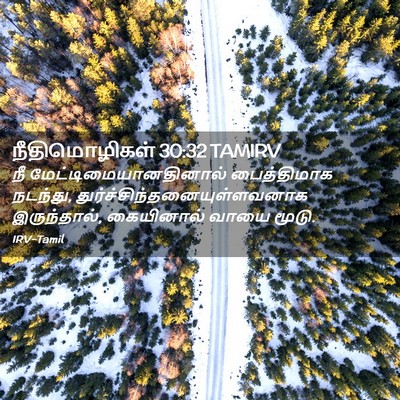 Picture 02 - நீதிமொழிகள் 30:32 TAMIRV - நீ - Bible Verse Picture