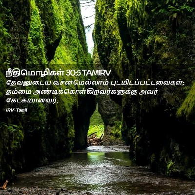 Picture 02 - நீதிமொழிகள் 30:5 TAMIRV - தேவனுடைய - Bible Verse Picture