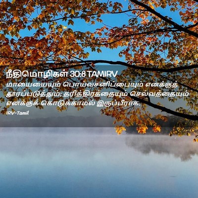 Picture 02 - நீதிமொழிகள் 30:8 TAMIRV - மாயையையும் - Bible Verse Picture