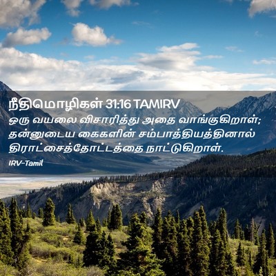 Picture 02 - நீதிமொழிகள் 31:16 TAMIRV - ஒரு வயலை - Bible Verse Picture