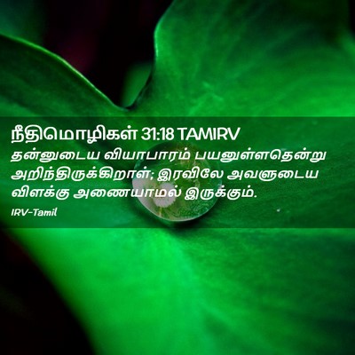 Picture 02 - நீதிமொழிகள் 31:18 TAMIRV - தன்னுடைய - Bible Verse Picture