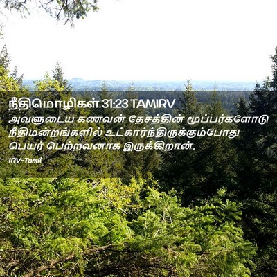 Picture 02 - நீதிமொழிகள் 31:23 TAMIRV - அவளுடைய கணவன் - Bible Verse Picture