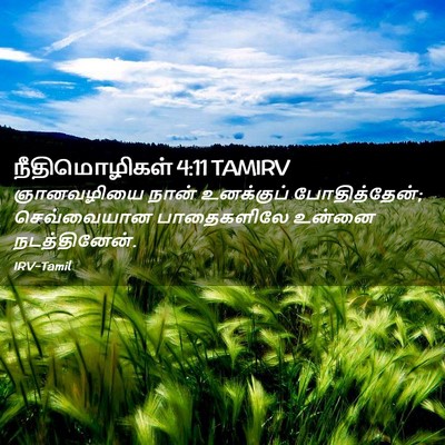 Picture 02 - நீதிமொழிகள் 4:11 TAMIRV - ஞானவழியை நான் - Bible Verse Picture